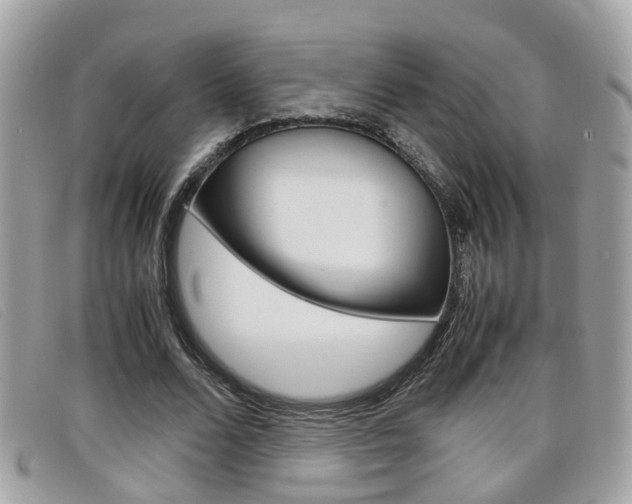 X0000099310680200805020732
