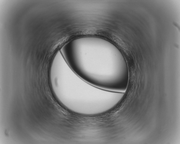 X0000099310681200805020732