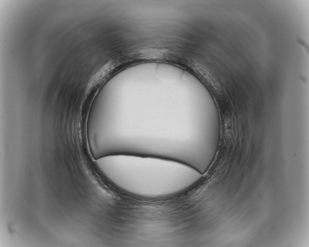 X0000099310682200805020732