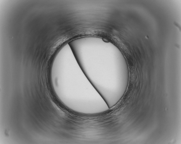 X0000099310683200805020732