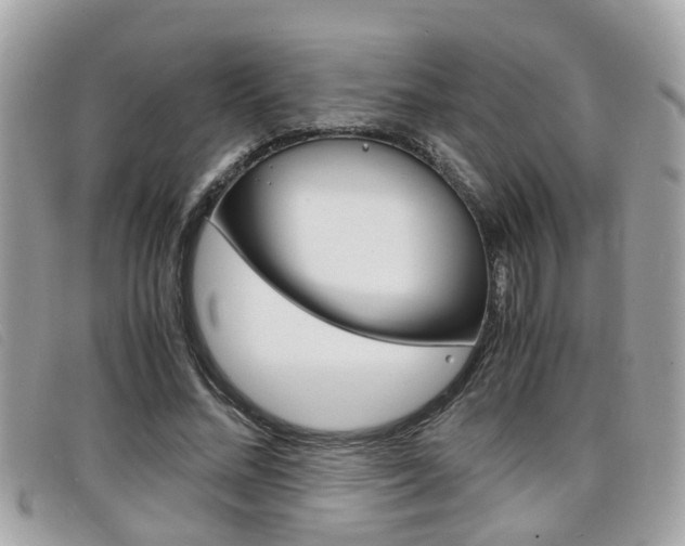 X0000099310684200805020732