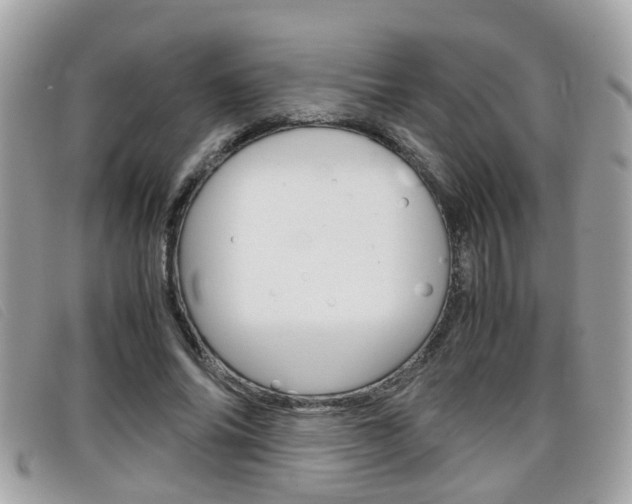 X0000099310686200805020732