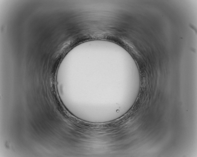 X0000099310687200805020732