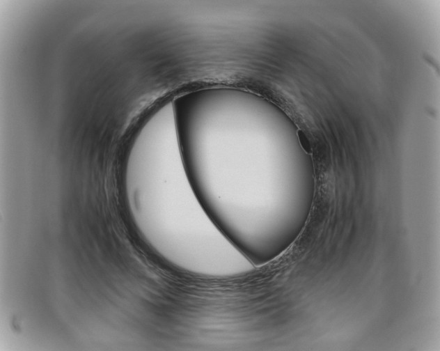 X0000099310688200805020732