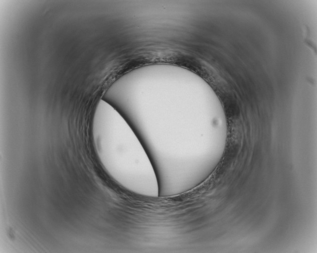 X0000099310695200805020732