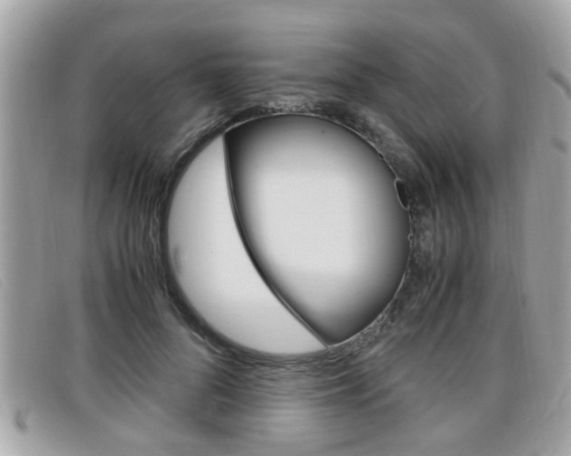 X0000099310696200805020732