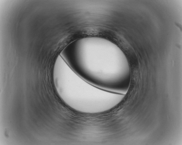 X0000099310697200805020732