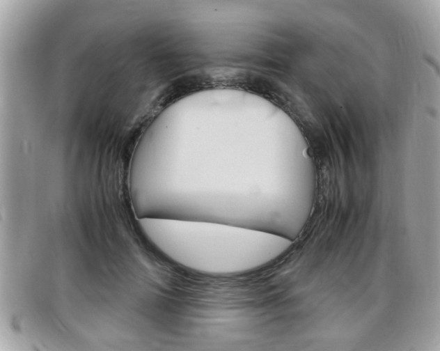 X0000099310698200805020732