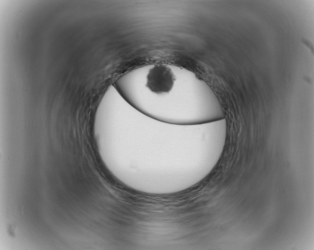 X0000099310703200805020732