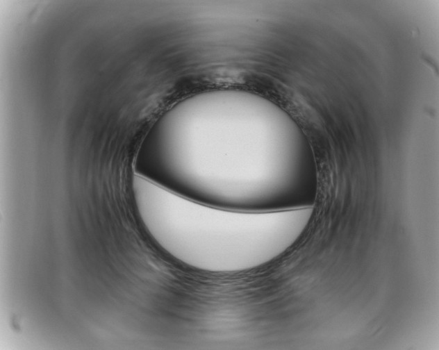 X0000099310704200805020732