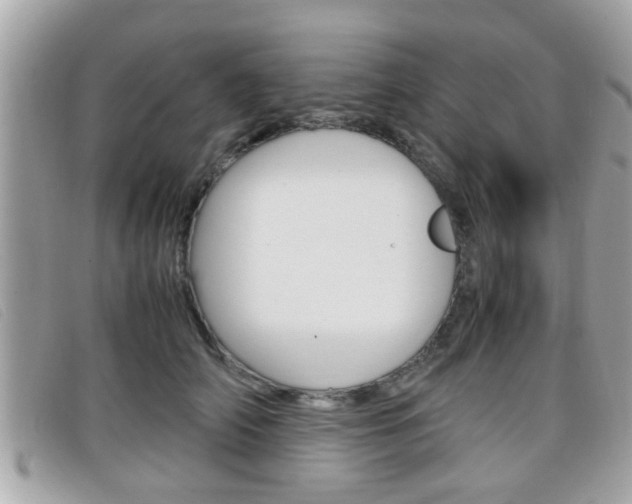 X0000099310706200805020732