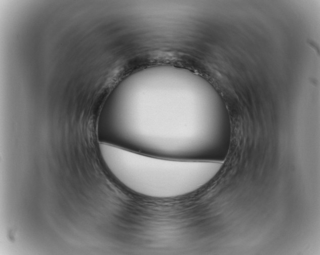 X0000099310708200805020732