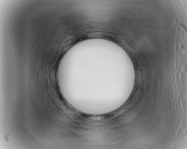 X0000099310711200805020732