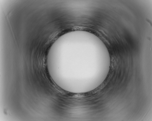X0000099310714200805020732