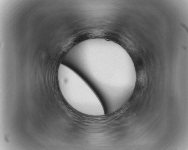 X0000099310715200805020732
