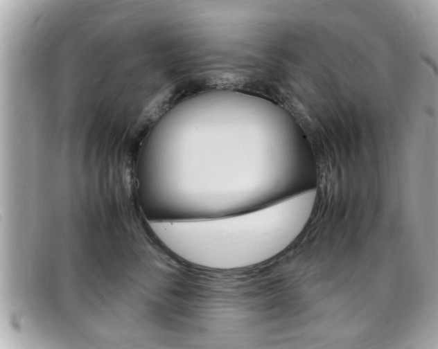 X0000099310716200805020732