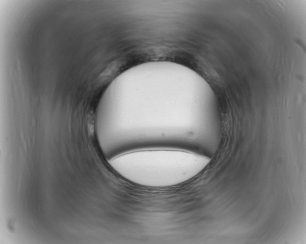 X0000099310719200805020732