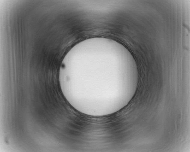 X0000099310720200805020732