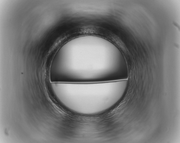 X0000099310722200805020731