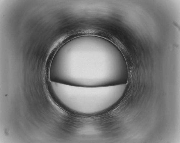 X0000099310726200805020731