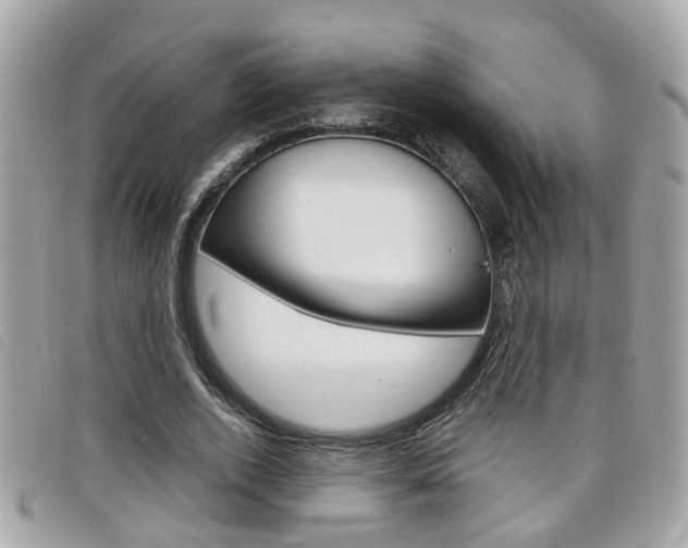 X0000099310728200805020731