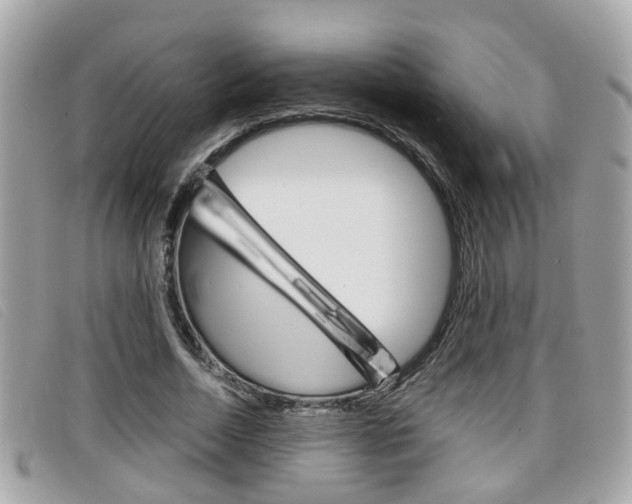 X0000099310730200805020731