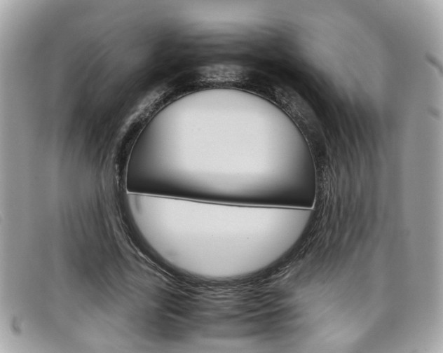 X0000099310731200805020731
