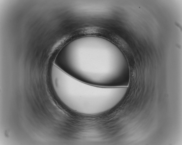 X0000099310732200805020731