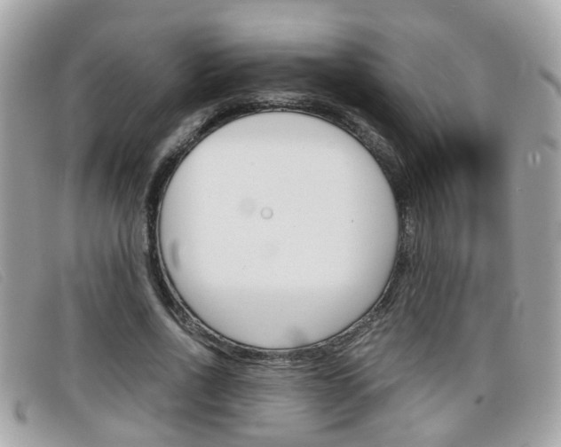X0000099310734200805020731