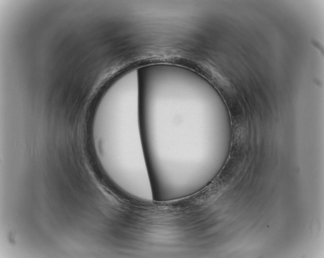 X0000099310736200805020731