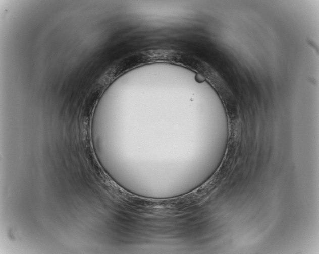 X0000099310737200805020731
