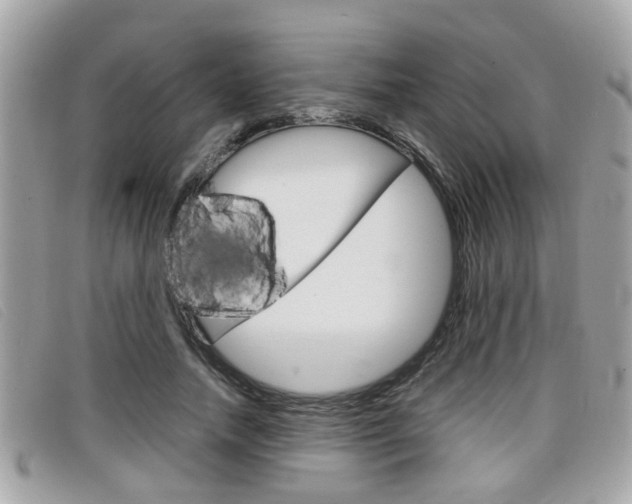 X0000099310738200805020731