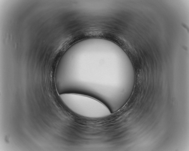 X0000099310739200805020731