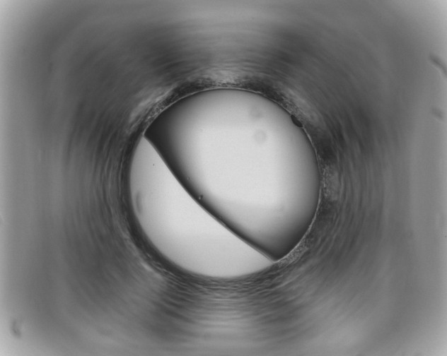 X0000099310740200805020731