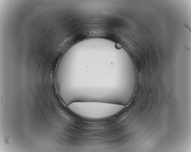 X0000099310741200805020731