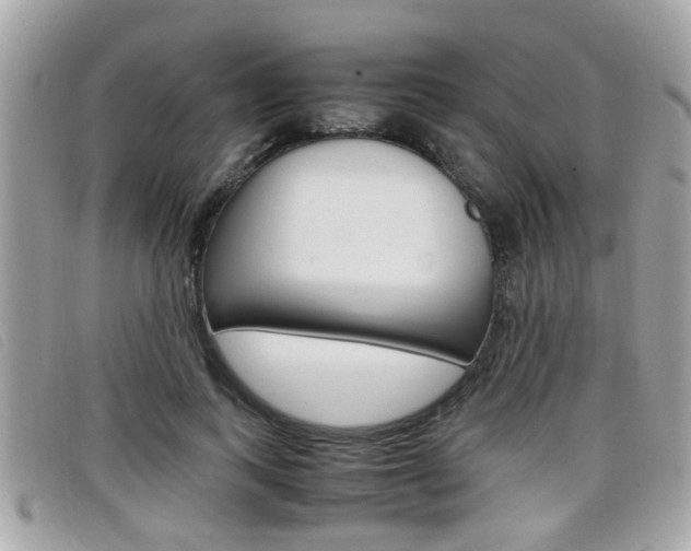 X0000099310743200805020731