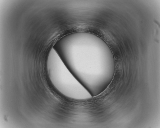 X0000099310744200805020731