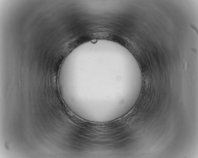 X0000099310745200805020731