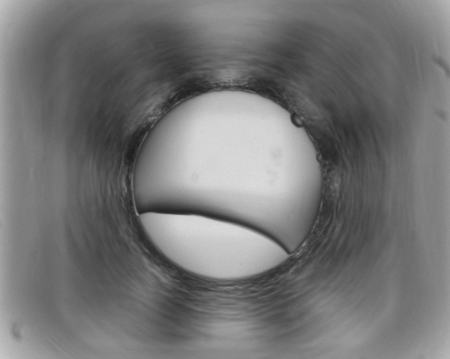 X0000099310746200805020731