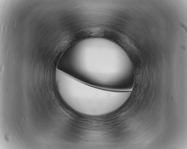 X0000099310748200805020731