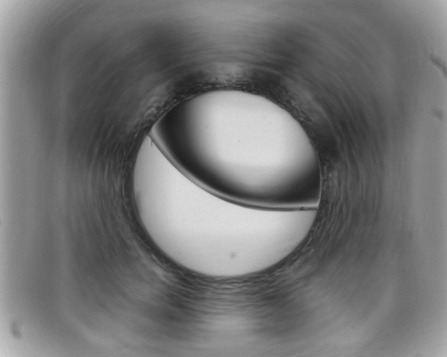 X0000099310750200805020732