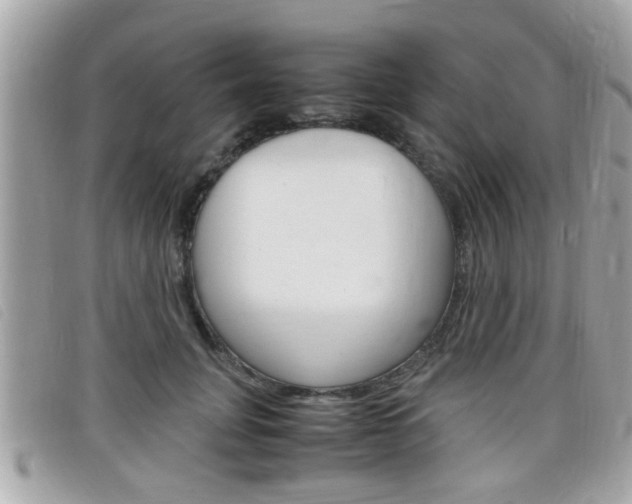 X0000099310751200805020732