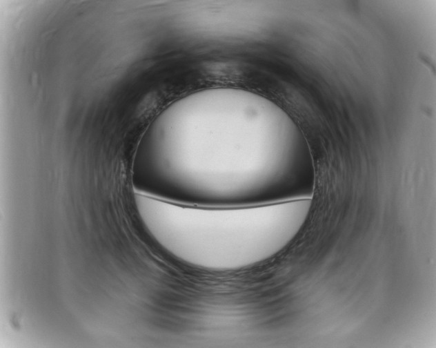 X0000099310752200805020732