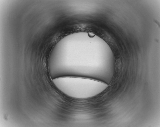 X0000099310754200805020732