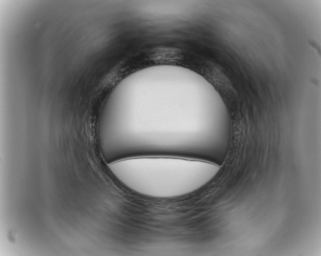 X0000099310755200805020732