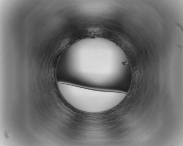 X0000099310756200805020732