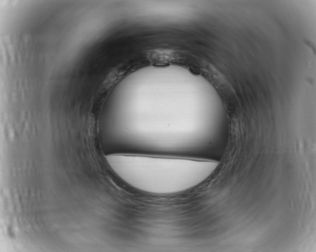 X0000099310760200805020732