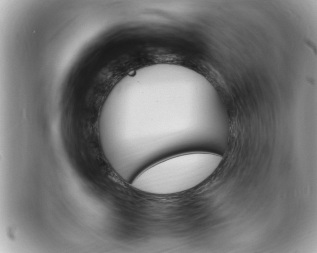 X0000099310763200805020732
