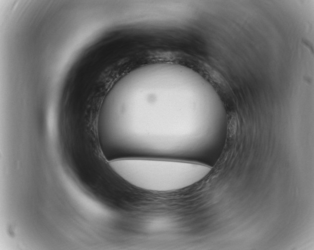 X0000099310764200805020732