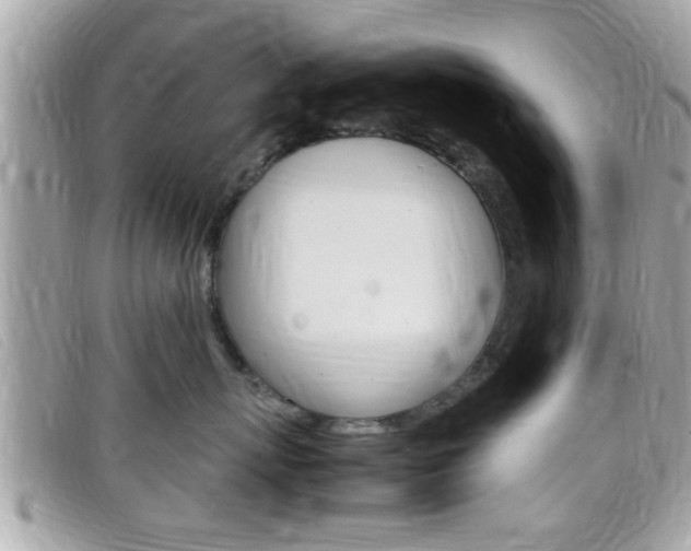 X0000099310767200805020732